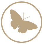 Valerie Queyrel Counselling & Hypnotherapy, Amersham & Great Missenden